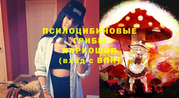 jwh Новозыбков