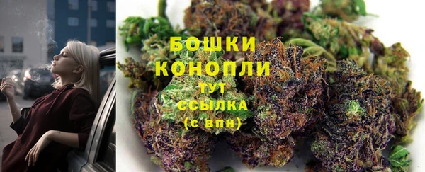 jwh Новозыбков
