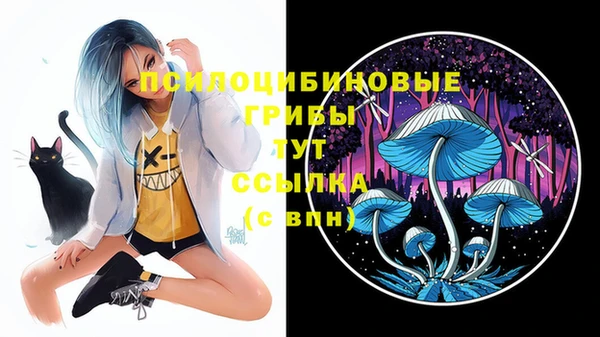 соль курить ск Новокубанск