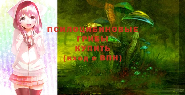гашишное масло Новодвинск