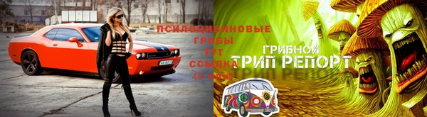 гашишное масло Новодвинск