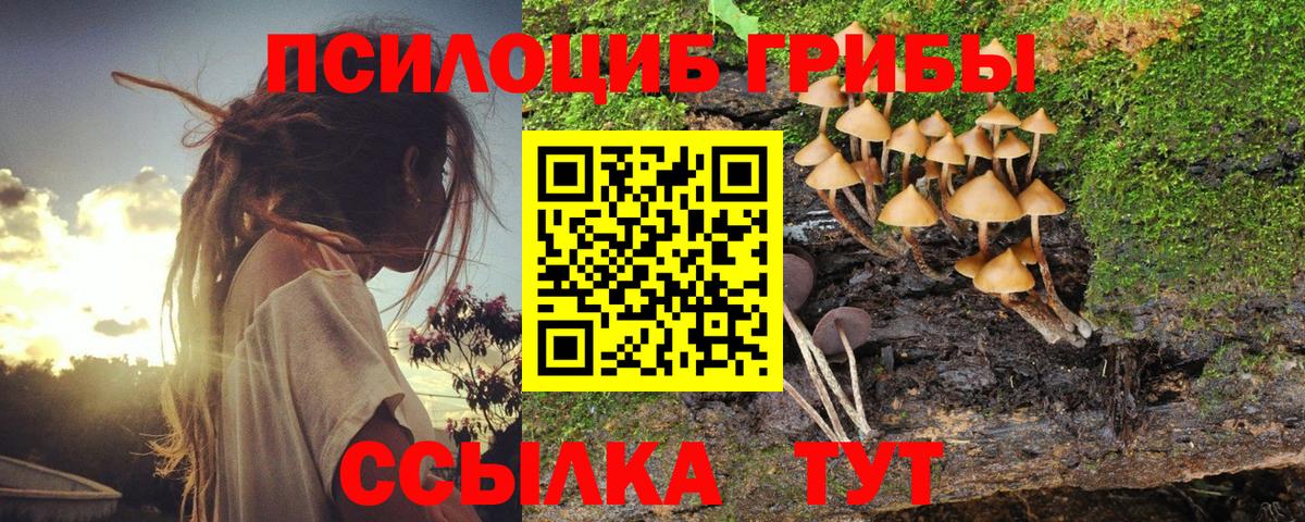 Абакан  Галлюциногенные грибы Cubensis  Вход с VPN 