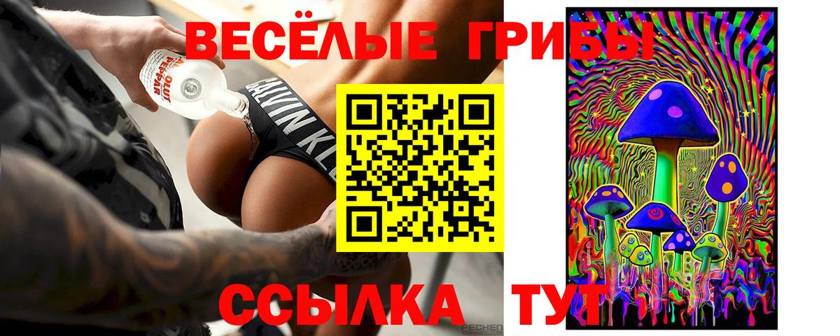 как найти закладки  Псилоцибиновые грибы Cubensis  Абакан  Псилоцибиновые грибы Cubensis 