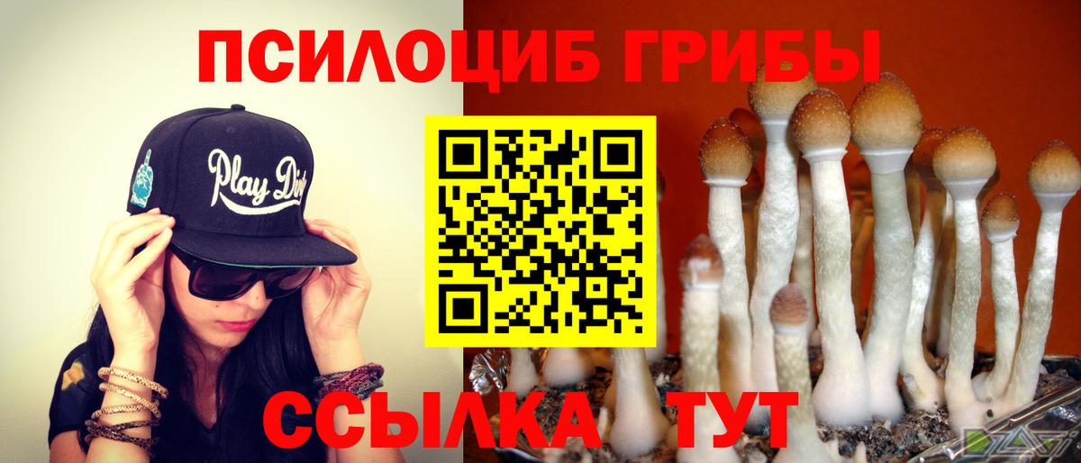 Псилоцибиновые грибы GOLDEN TEACHER Абакан