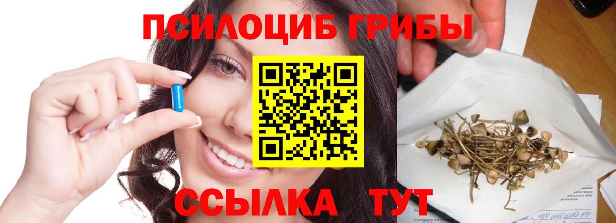 Псилоцибиновые грибы Абакан